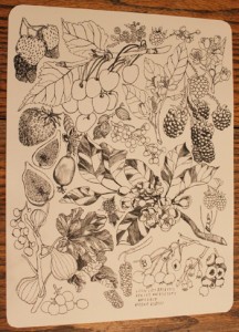 fruitblossomposterphoto