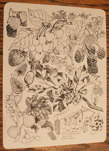 fruitblossomposterphoto
