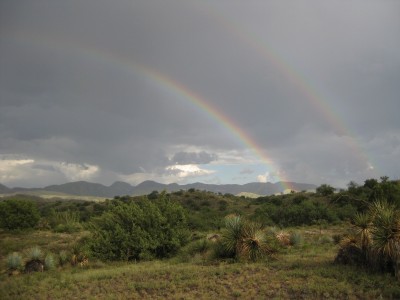 desert rainbow
