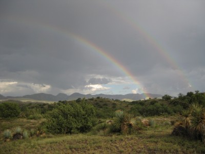 desert rainbow