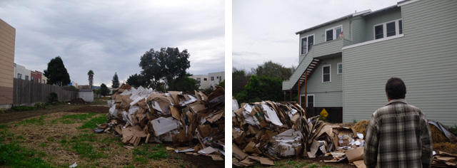 cardboard