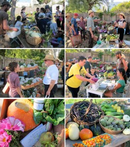 summer2011 csa pickup