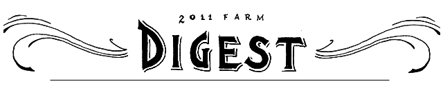 digest-lettering-01