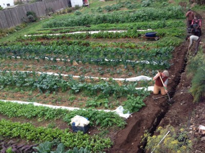 irrigationabove