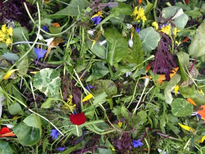 march salad